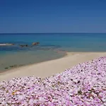 Bed & Breakfast Piana Castelsardo
